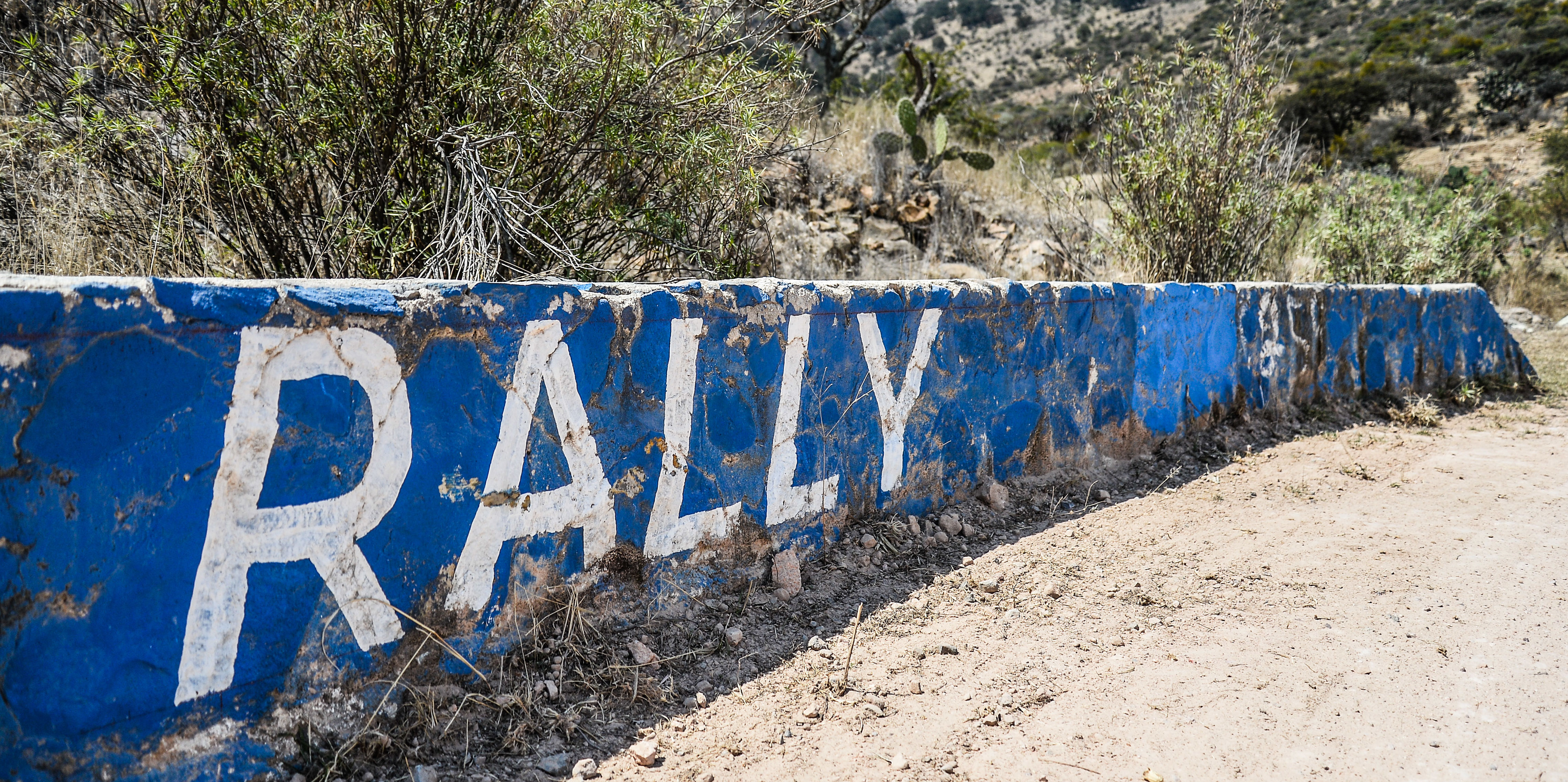 Rally Mexico Preview 2019