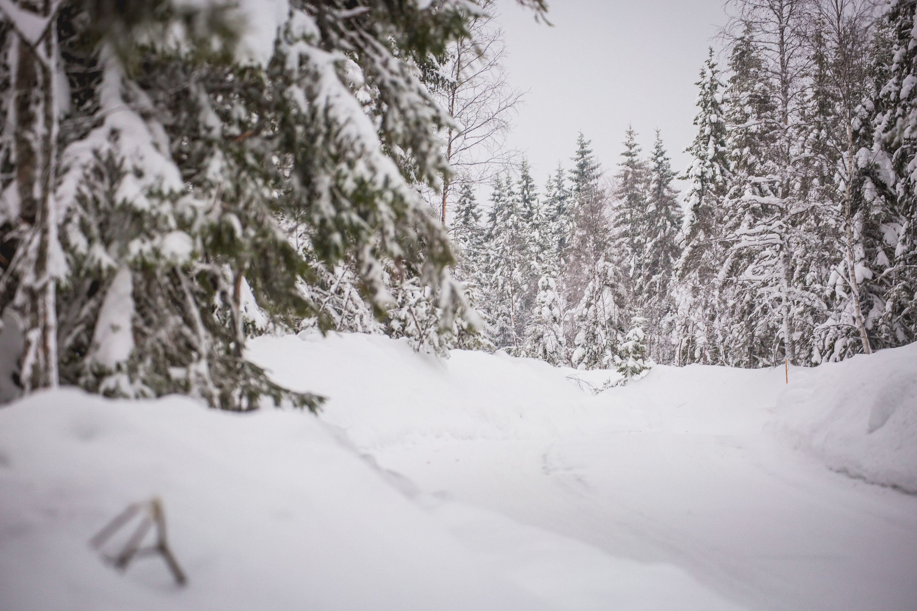 Rally Sweden Preview 2019