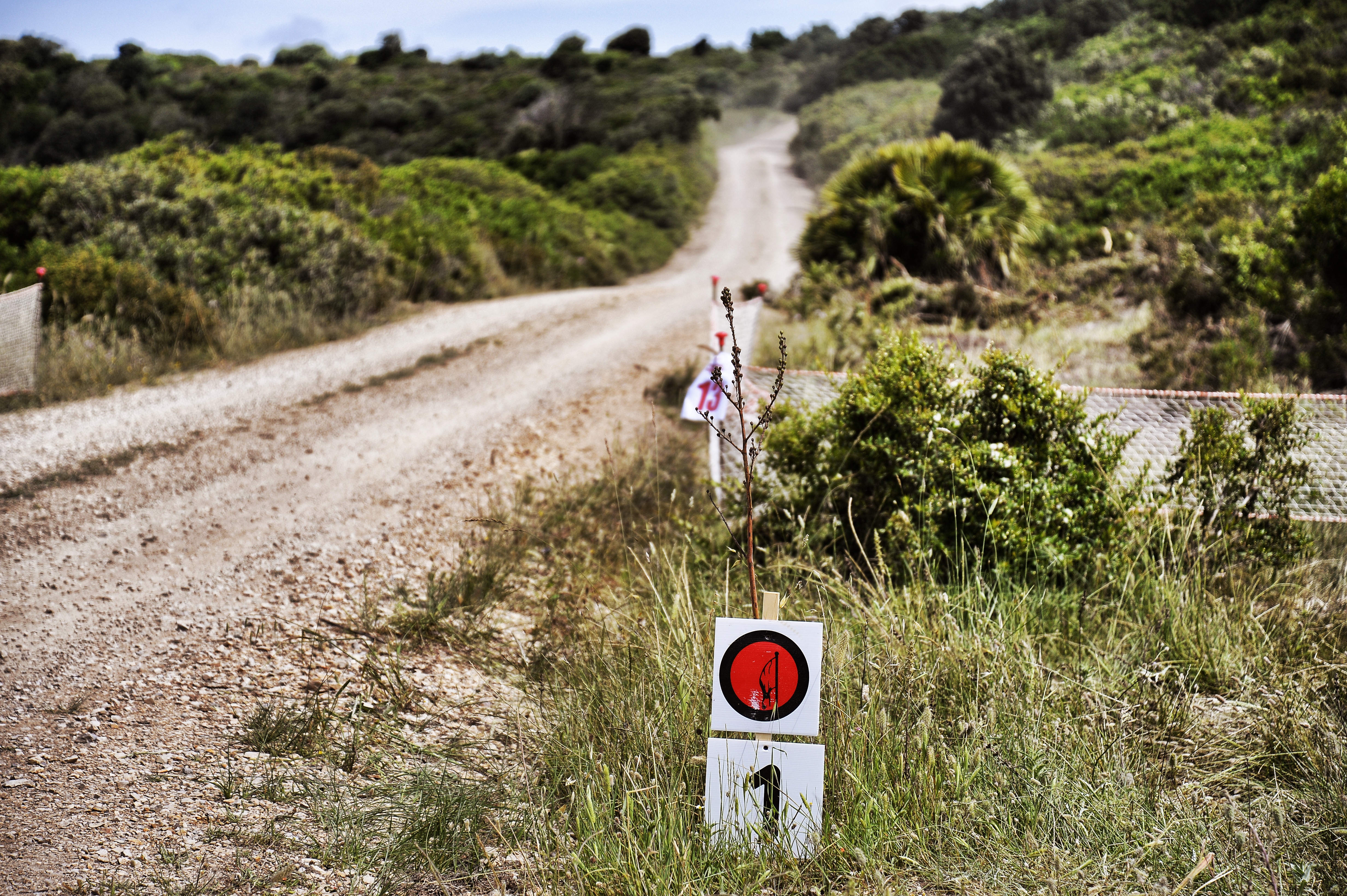 Rally Italia Sardegna Preview 2019