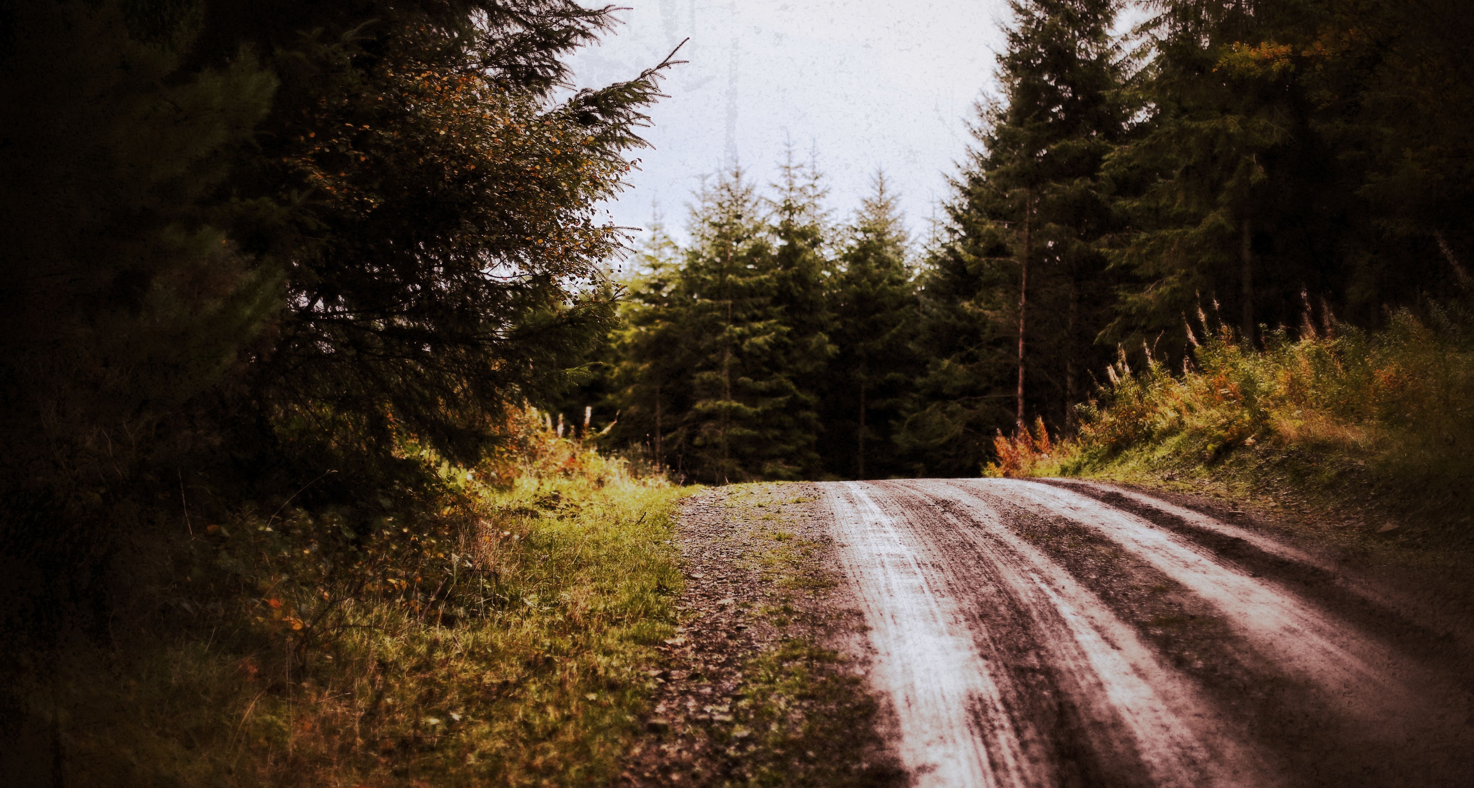 Wales Rally GB 2019 Preview- The title battle continues!