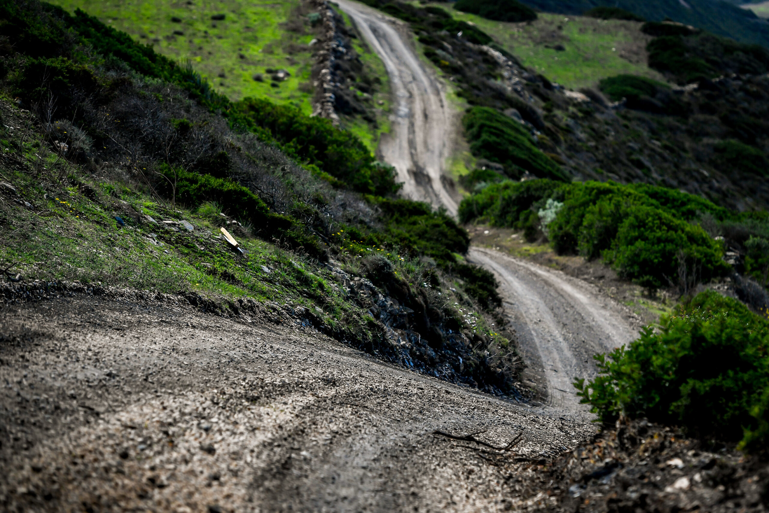 Rally Italia Sardegna 2021 Preview