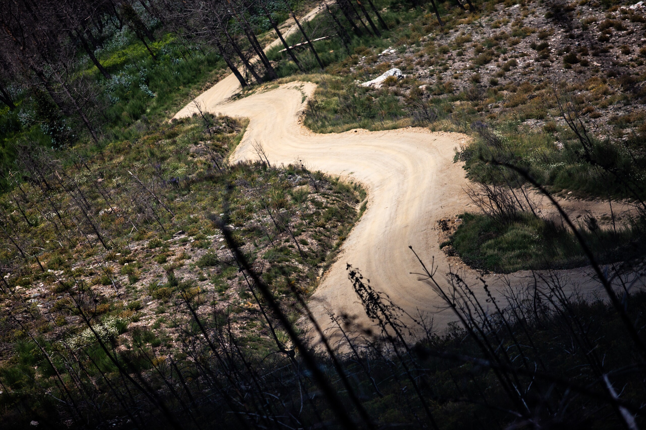 Rally de Portugal Preview 2021