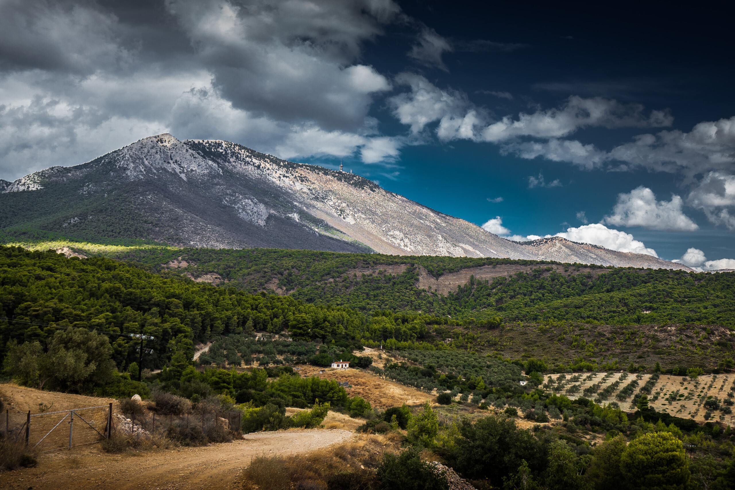 Acropolis Rally Friday Review 2021 – Rally of the Gods. Day One