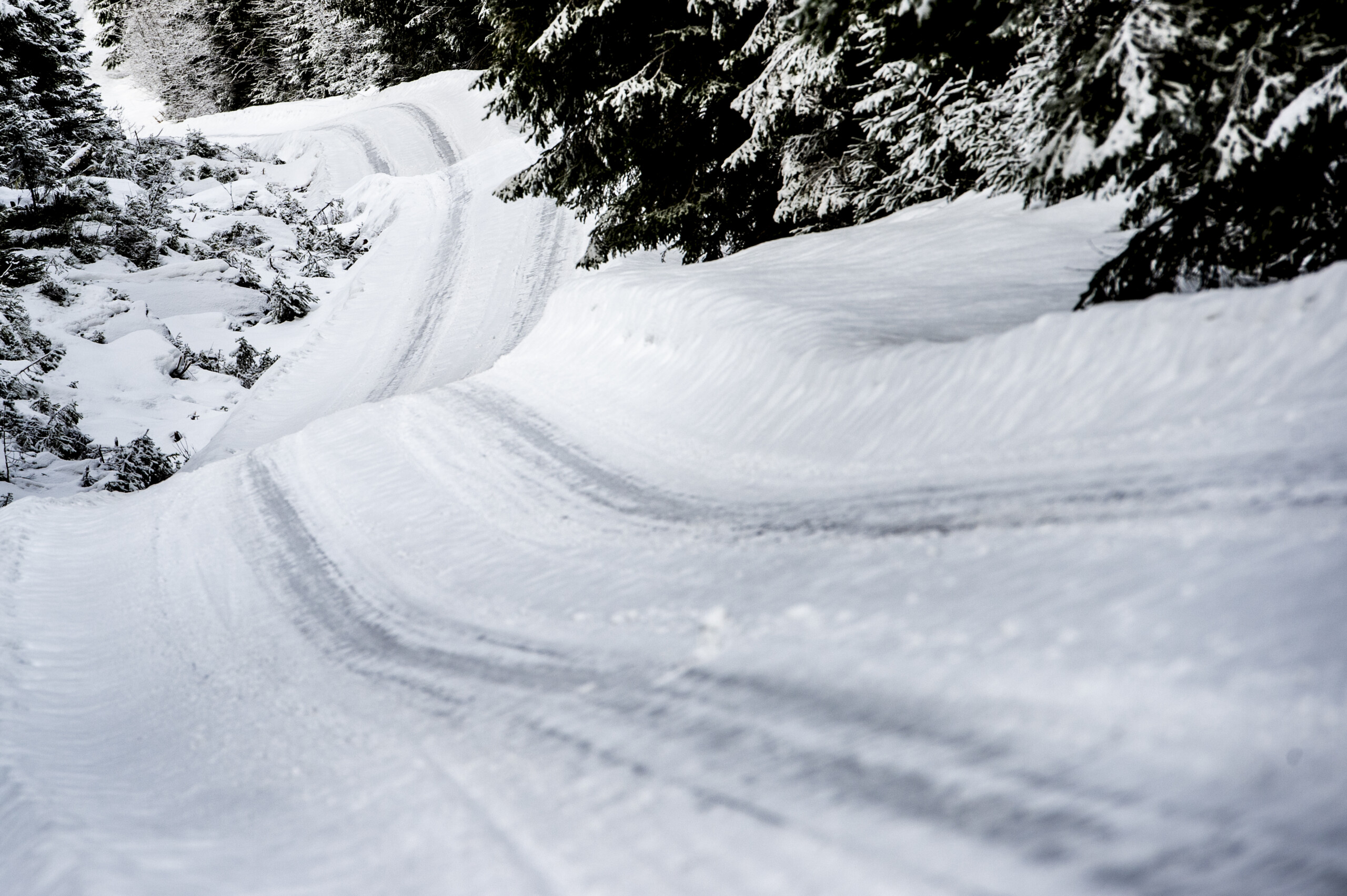 Rally Sweden 2022 Preview – Round Two