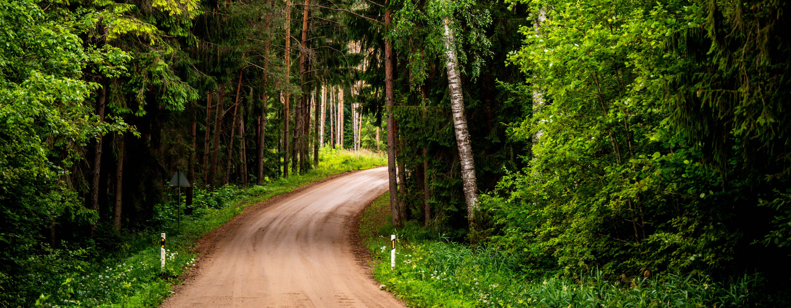 Rally Estonia 2022 Preview – Can anyone stop Kalle and Jonne?