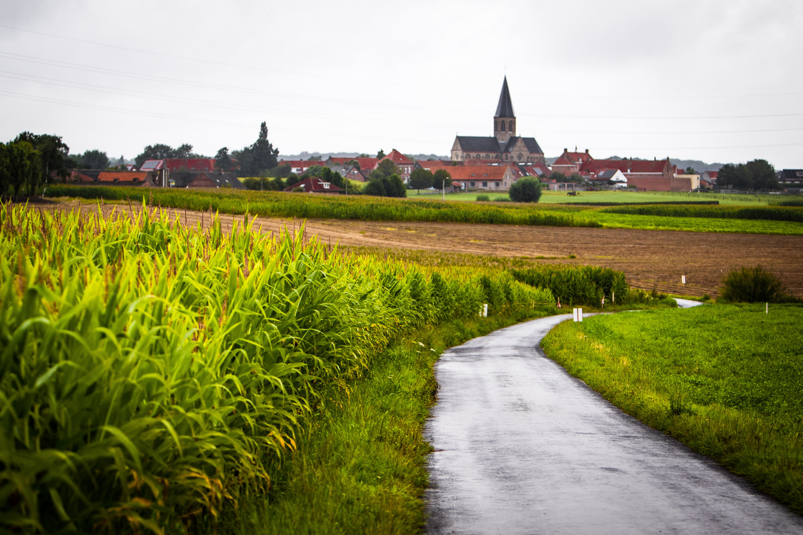 Ypres Rally Belgium 2022 Preview
