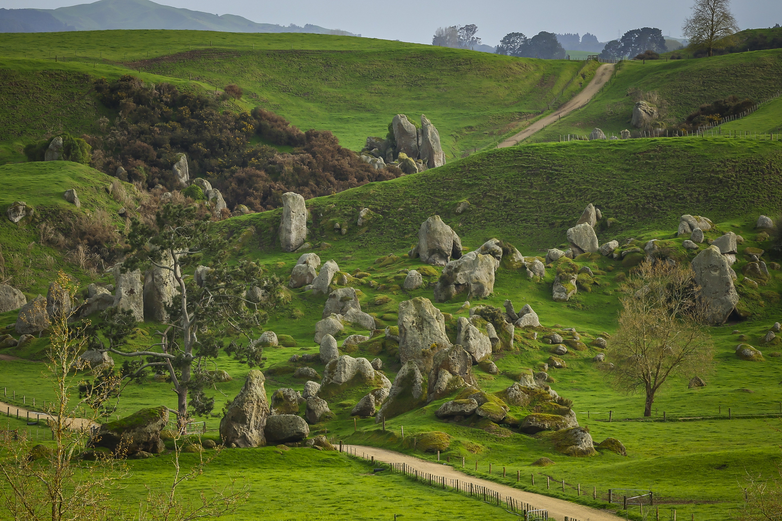 Rally New Zealand 2022 Preview – Back to the famous roads!