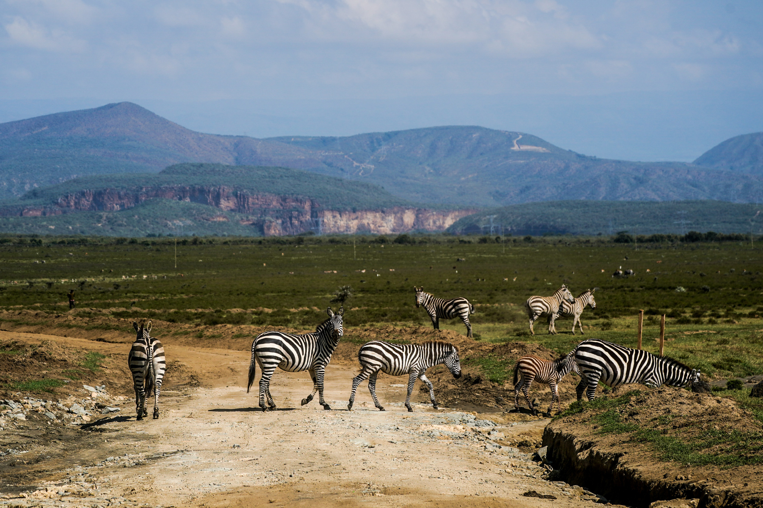 Safari Rally Kenya 2023 Preview