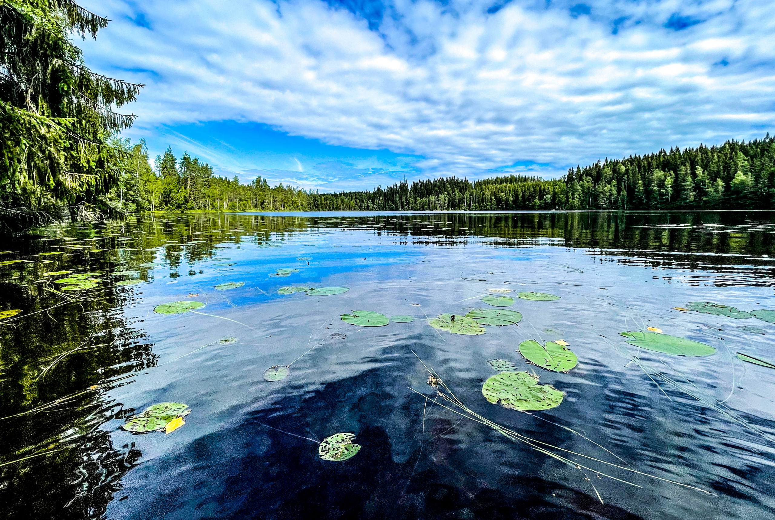 Rally Finland 2023 Preview – The Rally of a 1000 Lakes!