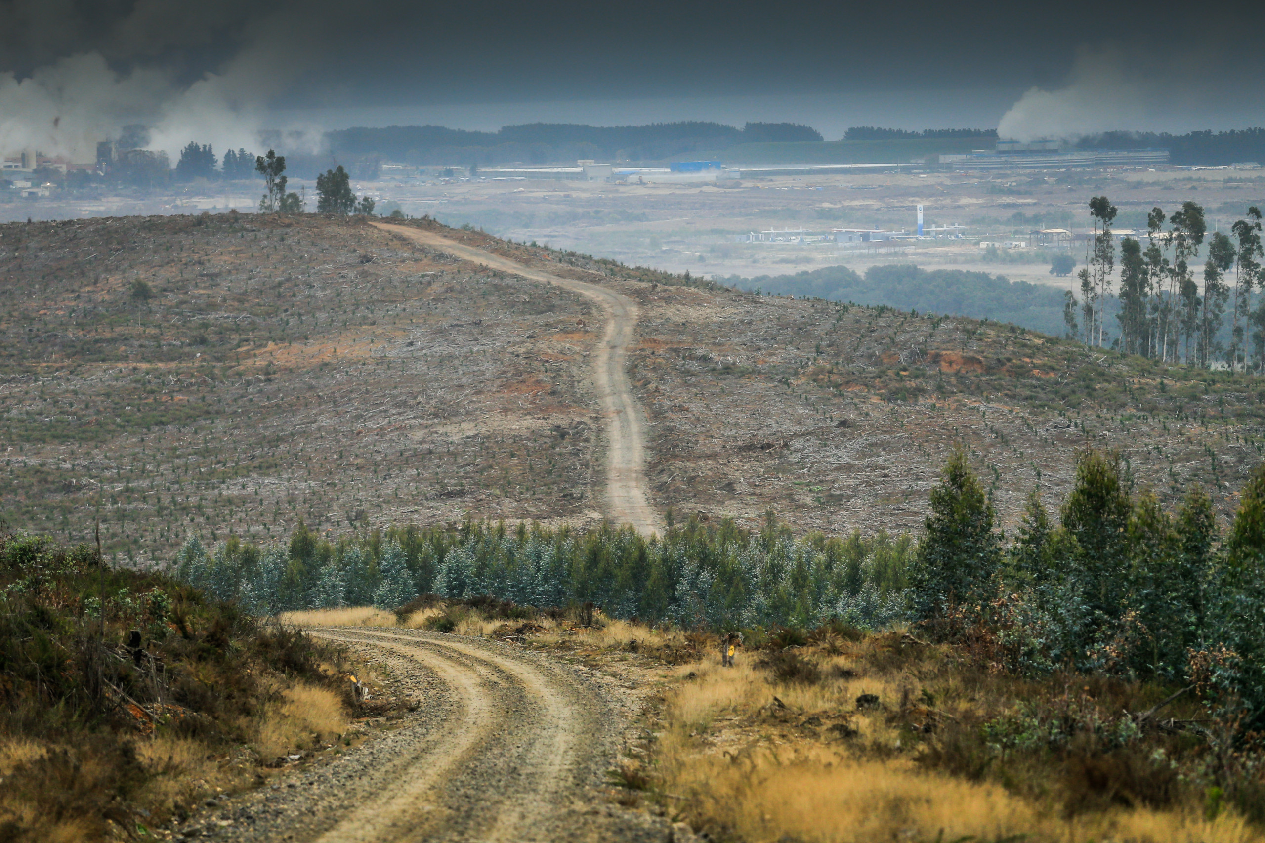 Rally Chile 2023 Preview – The championship heads back to South America.