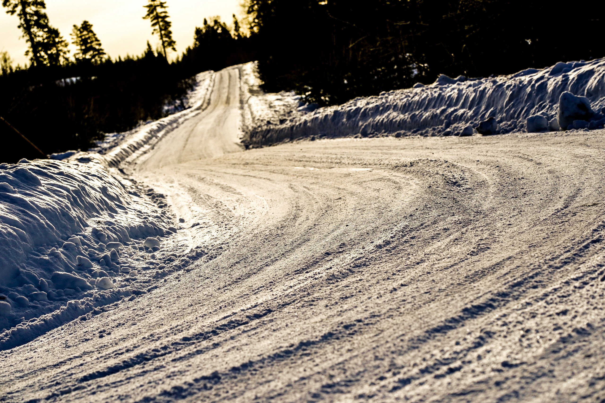 Rally Sweden 2024 Preview