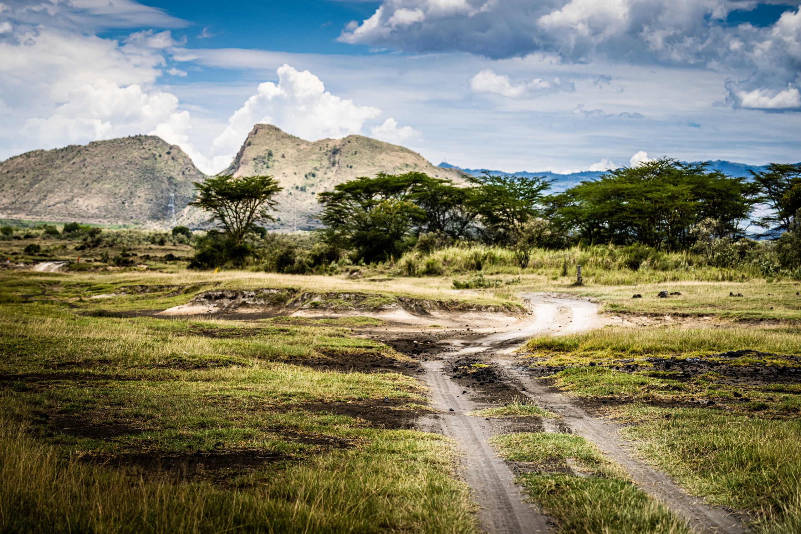 Safari Rally Kenya 2024 Preview
