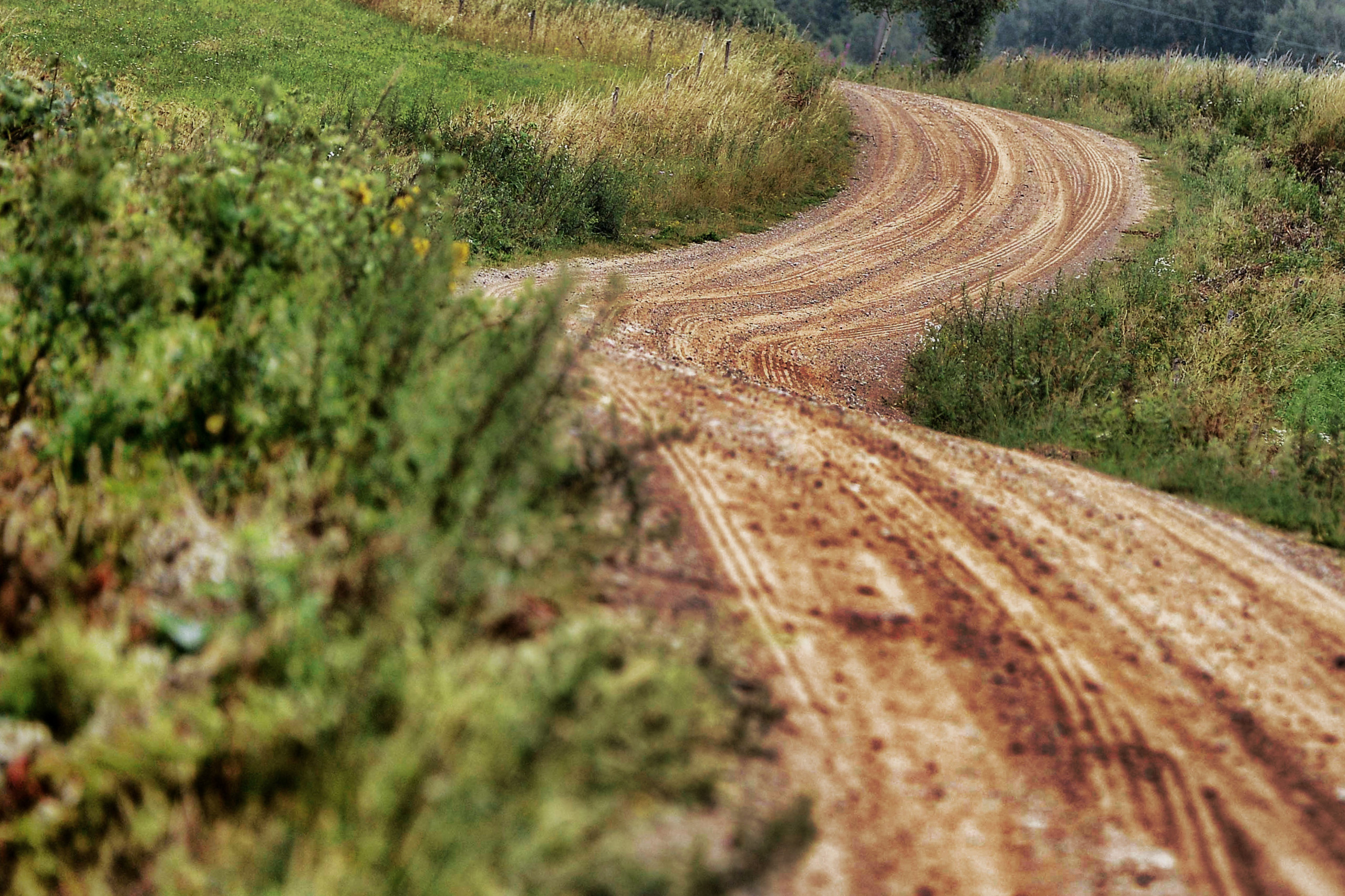 Rally Poland 2024 Preview