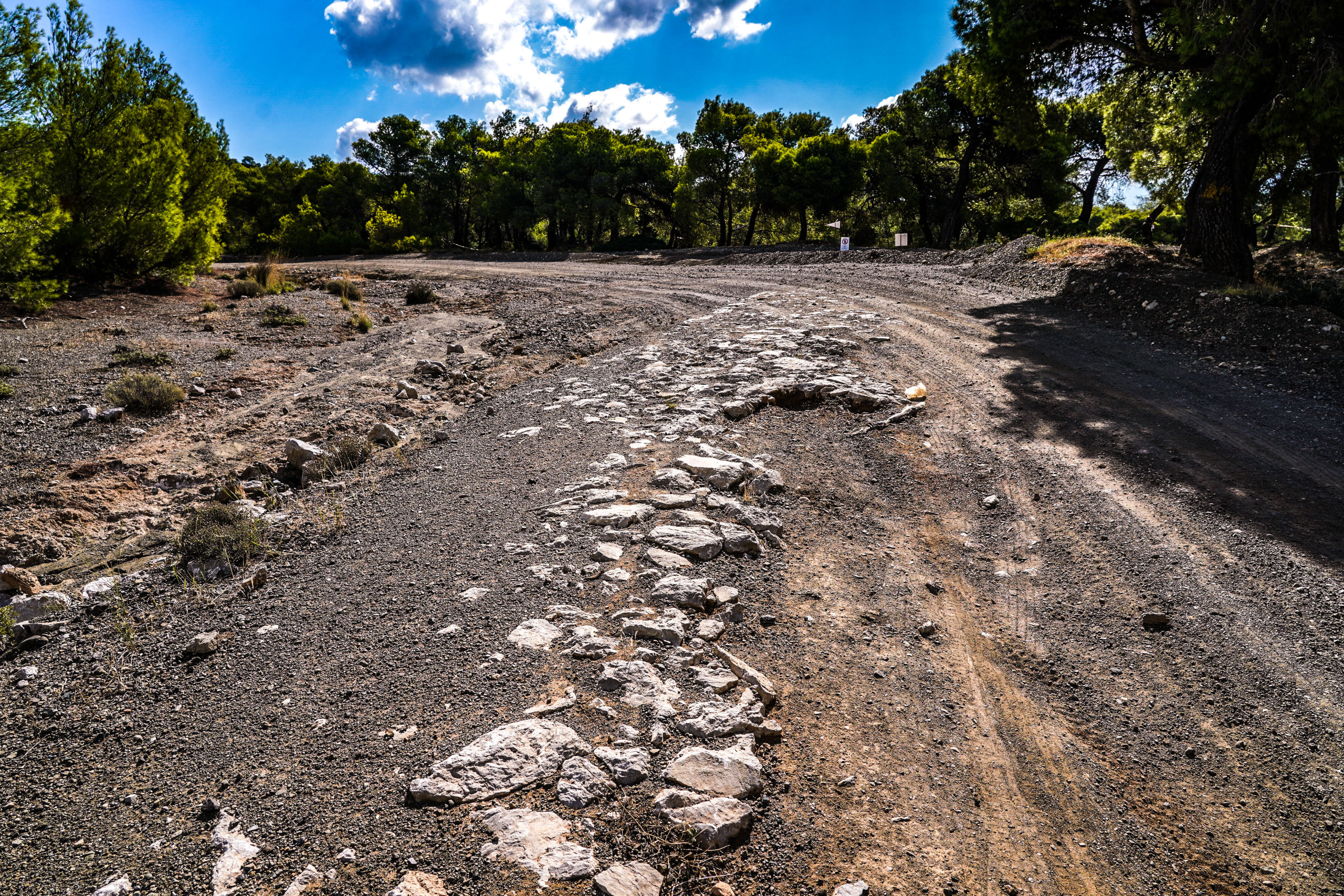 Rally Acropolis 2024 Preview