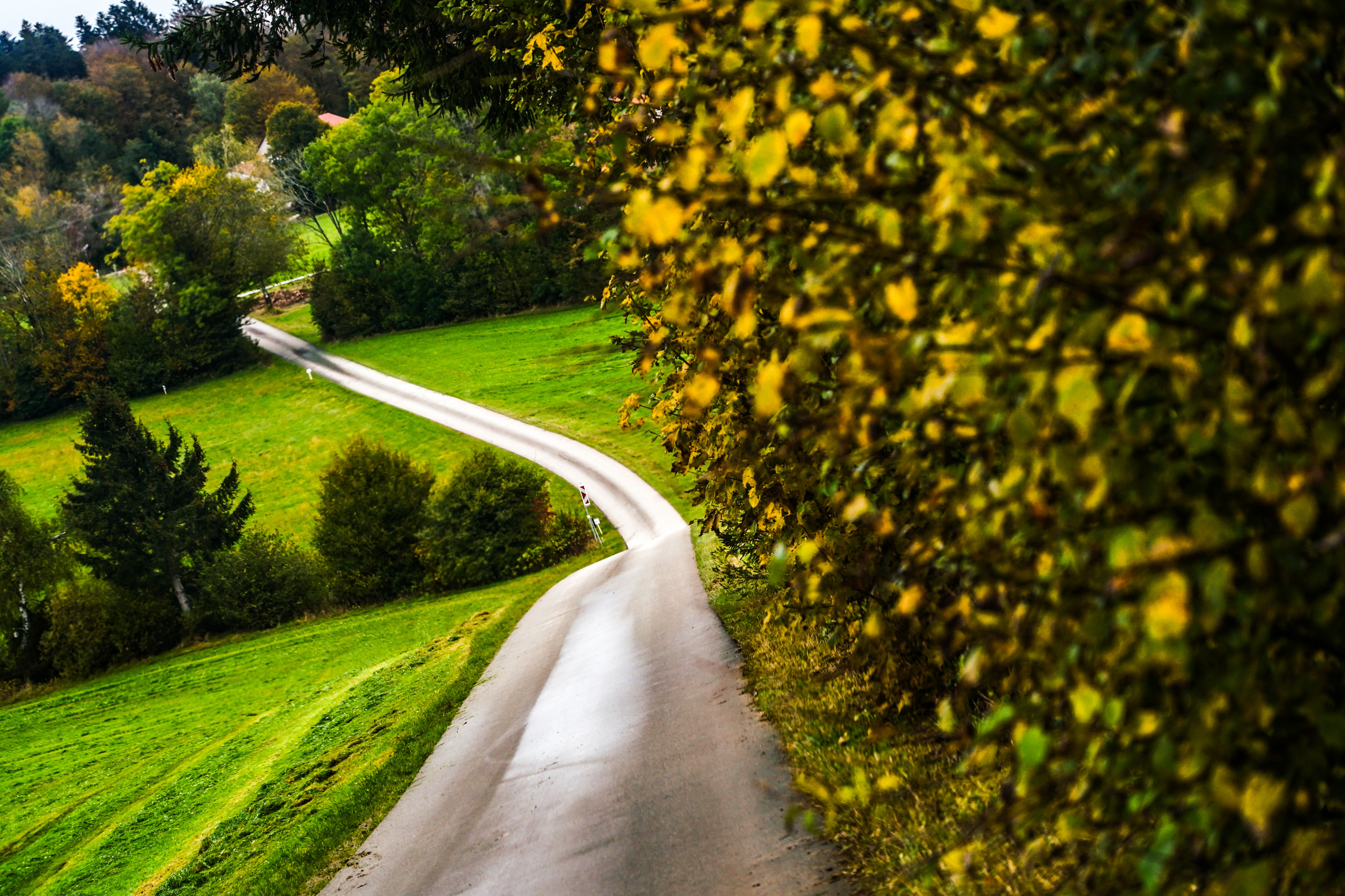 Central European Rally 2024 Preview