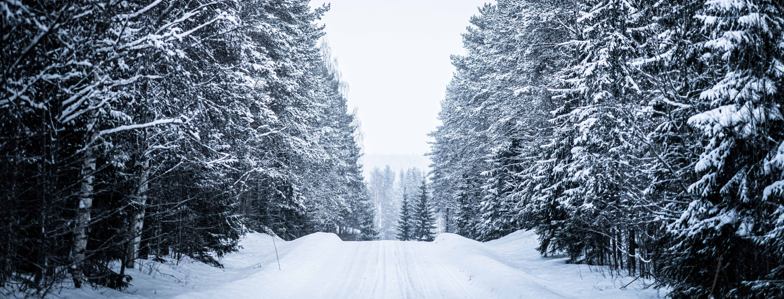 Rally Sweden 2025 Preview
