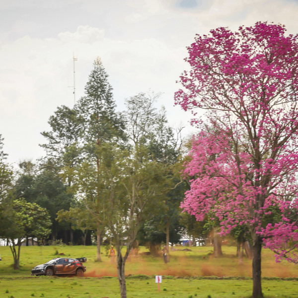 Rally del Paraguay 2025, Day Three Report