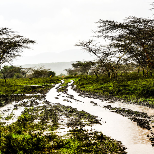 Safari Rally Kenya 2026 Preview