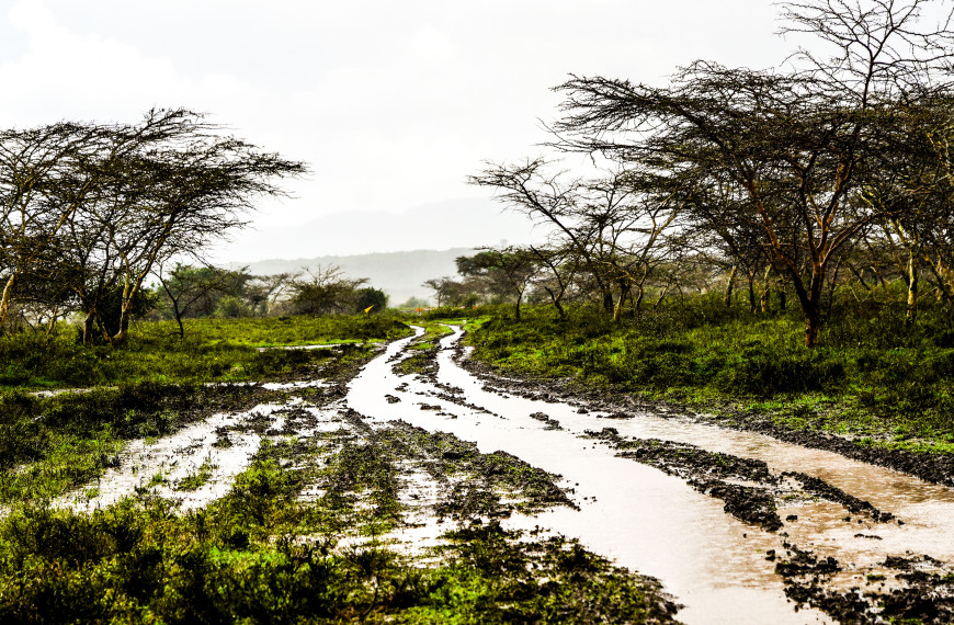 Safari Rally Kenya 2026 Preview