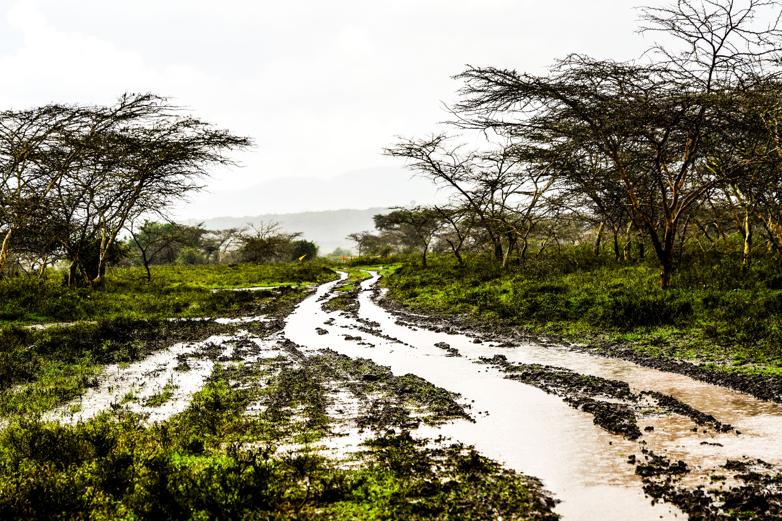 Safari Rally Kenya 2026 Preview