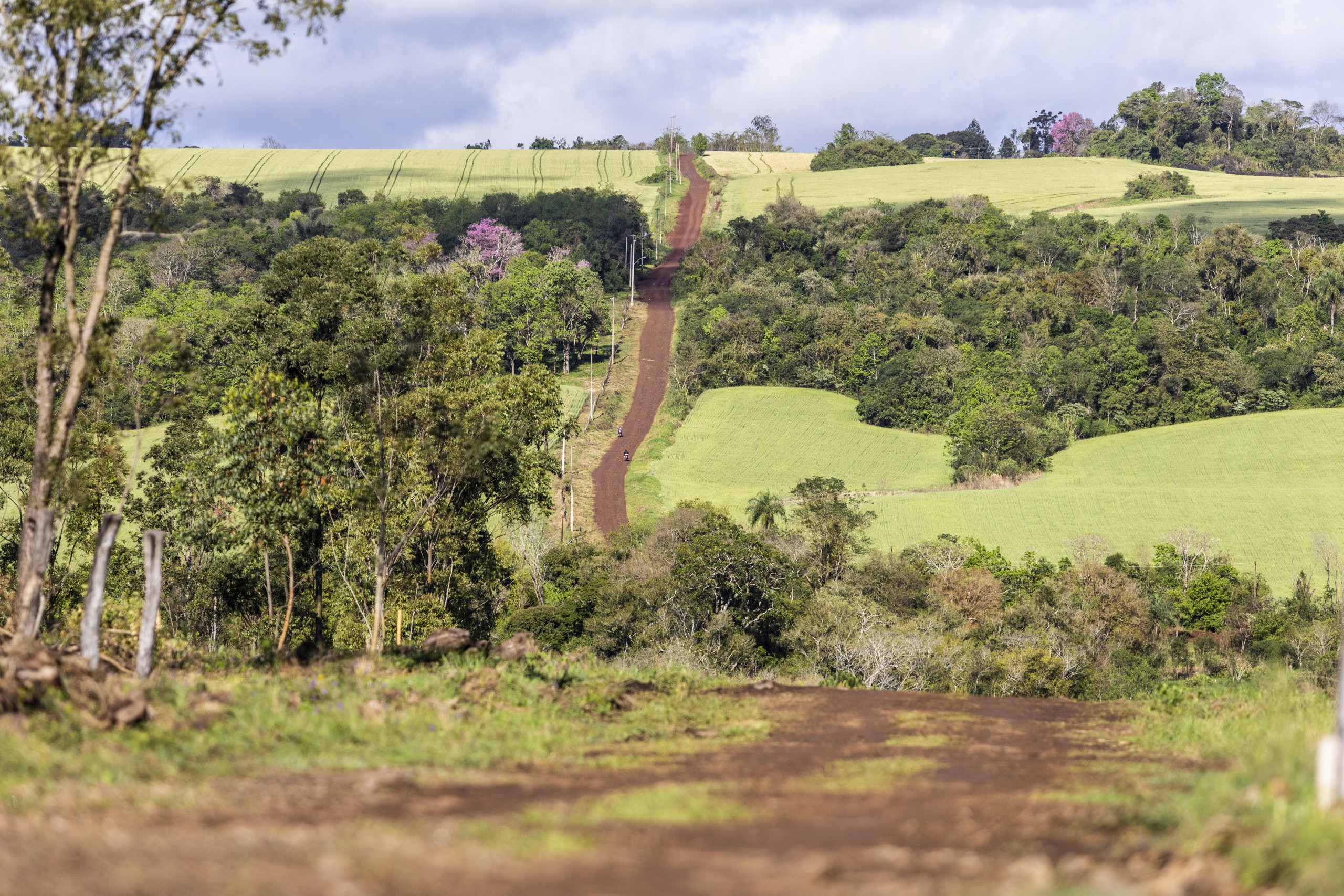Rally del Paraguay 2026 Preview