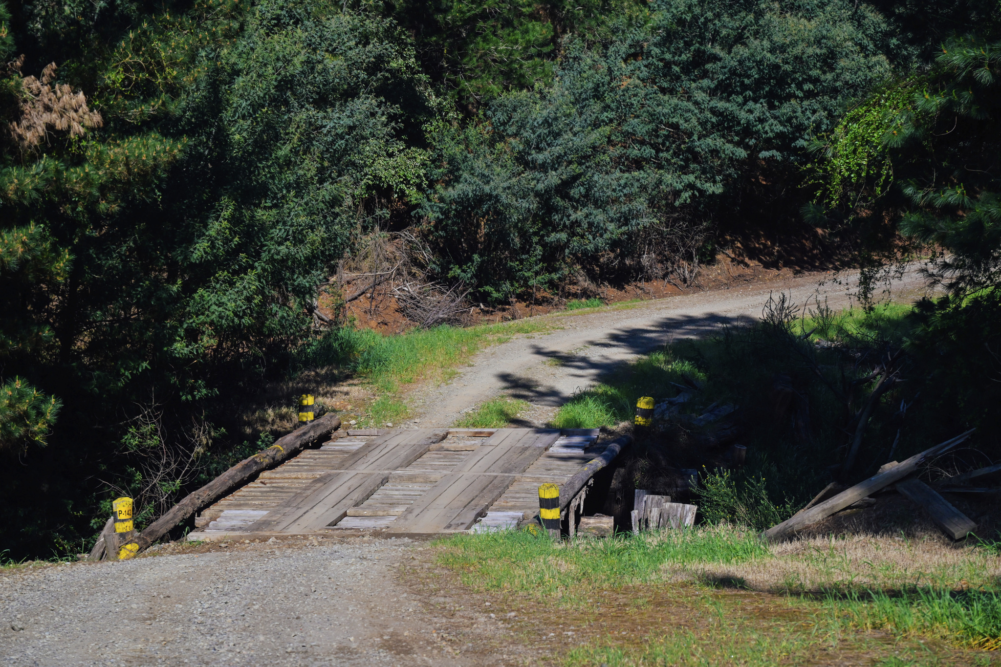 Rally Chile 2026 Preview
